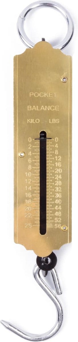 Benson Unster Pocket Balance - 25 kilo - Inclusief Haak & Oog