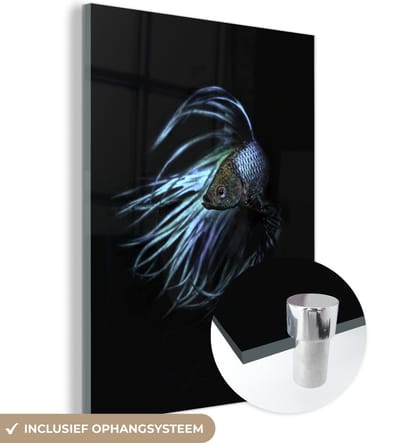 MuchoWow® Glasschilderij 120x160 cm - Schilderij acrylglas - Vis - Zeedieren - Blauw - Zwart - Foto op glas - Schilderijen