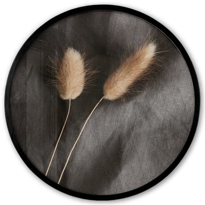 Poster in lijst Rond - Fotolijst 40x40 cm - Posters - Pampasgras - Pluim - Zwart - Beige - Ronde posterlijst zwart - Decoratie - Wanddecoratie woonkamer - Muurdecoratie slaapkamer
