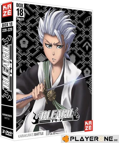 DVD - BLEACH - Box 18 - Saison 4 (Coffret 3 DVD)