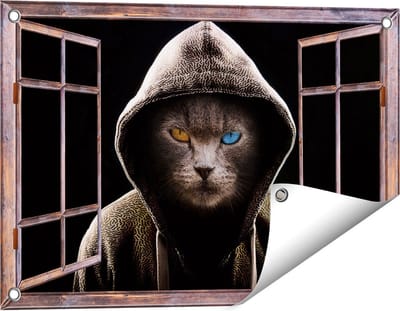 Gards Tuinposter Doorkijk Boze Kat Draagt een Hoodie - 60x40 cm - Tuindoek - Tuindecoratie - Wanddecoratie buiten - Tuinschilderij