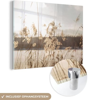 MuchoWow® Glasschilderij 40x30 cm - Schilderij acrylglas - Water - Pampasgras - Planten - Foto op glas - Schilderijen