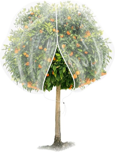 Fruitboomnet - Plantenbeschermingsnet - En regenbestendig boomnet - Met rits en trekkoord - Voor boerderij, buiten, terras, achtertuin, landschapsarchitectuur, kas - 2.4*2.4m - Wit
