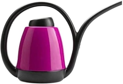 Gieter Lange Mond - Plantenspuit Waterkoker - Planten Water Geven - Ergonomische Handgreep - 1.2L Capaciteit - A