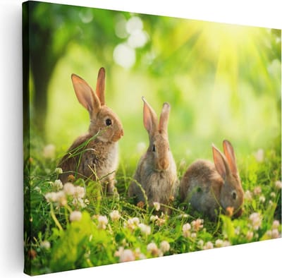 Artaza Canvas Schilderij Konijnen In Het Gras - 40x30 cm - Klein - Wanddecoratie Woonkamer - Muurdecoratie Bloemen - Kamer Accessoires