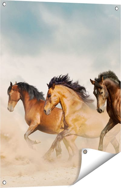 Gards Tuinposter Drie Bruine Paarden - 60x80 cm - Tuindoek - Tuindecoratie - Wanddecoratie buiten - Tuinschilderij