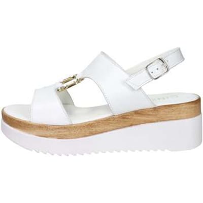 Sandalen met sleehak Cinzia Soft IAF343520