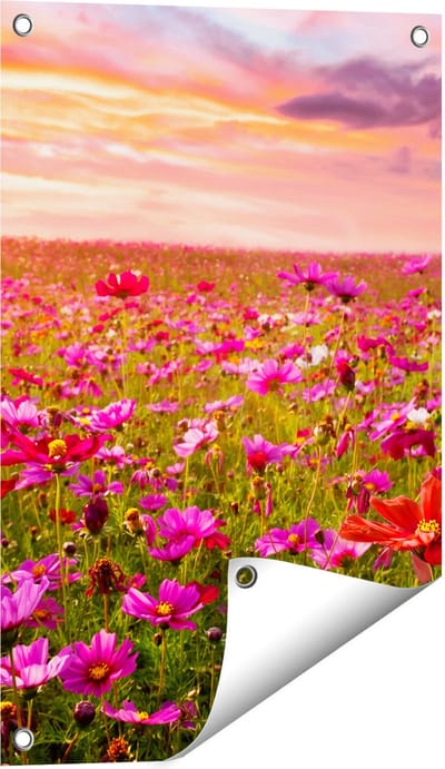 Gards Tuinposter Kleurrijke Kosmos Bloemenveld - 40x60 cm - Tuindoek - Tuindecoratie - Wanddecoratie buiten - Tuinschilderij