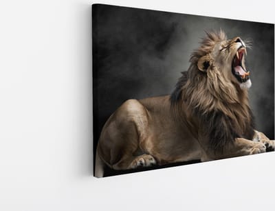Saammp Canvas Schilderij - Grommende Leeuw - Mist - Dieren - Natuur - 45x30 - Foto op canvas - Wanddecoratie - Muurdecoratie Woonkamer - Slaapkamer decoratie - Canvas Print