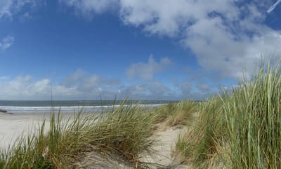 Fotobehang duinen en strand Ameland 350 x 260 cm - € 235,--