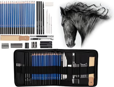 Professionele Schets Potloden Set 32-Delig - Teken Potloden - Accessoires – Tekenen met Houtskool & Grafiet - Etui - Teken Set - Potloden - Potlood