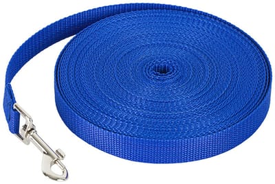 Hondenriem Touw - Huisdier Leidsel - Outdoor Training - Duurzaam Polyester - 10 meter - Blauw