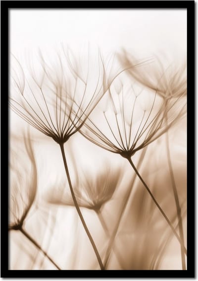 Poster pluisjes van paardenbloemen - 21cm x 30cm a4 - vintage - woonkamer - slaapkamer - bloemen posters - goedkoop - muurposter - natuur - wanddecoratie