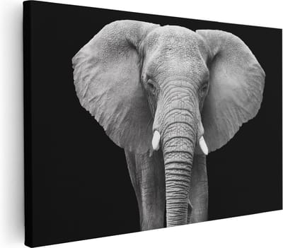 Artaza Canvas Schilderij Dierenkop Olifant - 30x20 cm - Klein - Muurdecoratie Woonkamer - Wanddecoratie Dierenhoofd - Kamer Accessoires