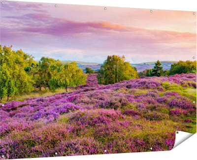 Gards Tuinposter Paarse Weide - 180x120 cm - Tuindoek - Tuindecoratie - Wanddecoratie buiten - Tuinschilderij