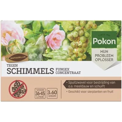 Pokon Tegen Schimmels 'Fungus Concentraat' - 3x60 gram - spuitzwavel - meeldauw bestrijdingsmiddel