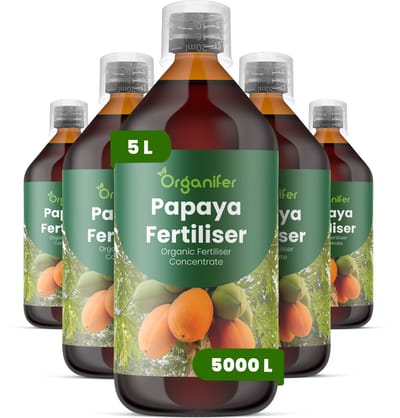 Vloeibare Meststof Voor Papaja 5X1 L Voor 5000 L - Npk 2-1-8 - Ondersteunt Sterke Bloei En Een Hoogwaardige Vruchtzetting - Verbetert De Vruchtkleur - Zoetheid En Interne Textuur - Bevordert Langdurige Vitaliteit En Productieve Groeicycli - Organifer