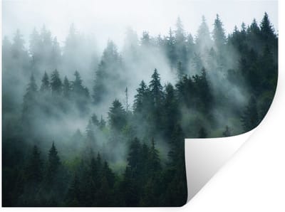 Muurstickers - Sticker Folie - Mist - Bomen - Bos - 40x30 cm - Plakfolie - Muurstickers Kinderkamer - Zelfklevend Behang - Zelfklevend behangpapier - Stickerfolie