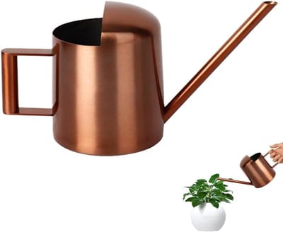 300 ml roestvrijstalen mini-gieter met lange uitloop voor kamerplanten (brons)