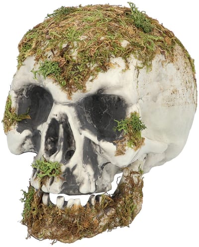 Boland - Schedel Swamp - Horror - Decoratie - Halloween - Spookhuis - Trick or Treat - Skelet - Piraten