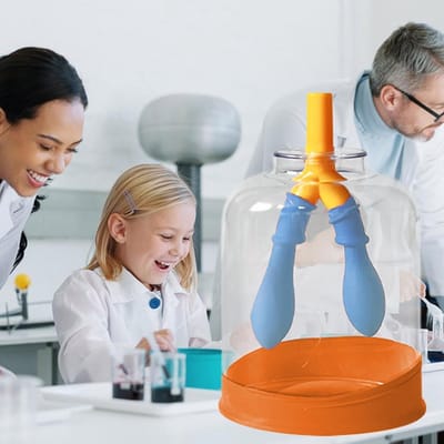 Longmodel Leren - Ademhalingshulp Anatomie - Onderwijs Demonstratie - Krasbestendige Constructie - 11 cm Pakket - Niet gespecificeerd
