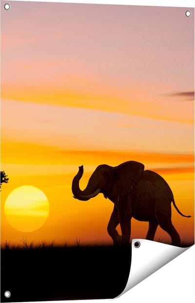 Gards Tuinposter Olifant Silhouet tijdens Zonsondergang - 60x80 cm - Tuindoek - Tuindecoratie - Wanddecoratie buiten - Tuinschilderij