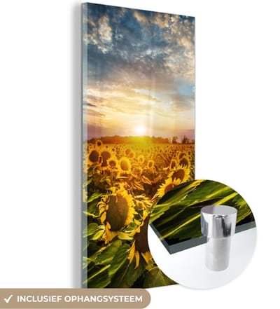 MuchoWow® Glasschilderij 20x40 cm - Schilderij acrylglas - Bloemen - Zonnebloem - Lucht - Foto op glas - Schilderijen