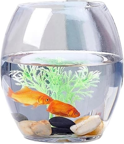 Glazen Aquarium - Vissenkom Schildpadtank - Kleine Vissen Houden - Verdikt Transparant Glas - Klein Formaat - Transparant