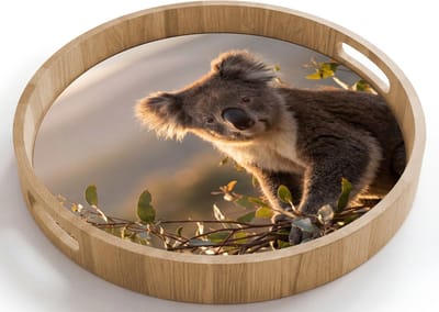 Dienblad rond 40x40 cm - Schootdienblad hout - Koala - Bladeren - Ochtendlicht - Borrelplank rechthoek - Plateau houten dienbladen