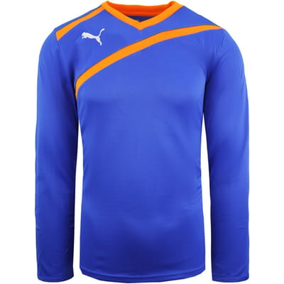 Puma Esito keepershirt lange mouwen heren blauw voetbaltop 701064 37