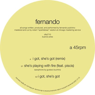 Fernando Pulichino - I Got, She's Got (12" Single)