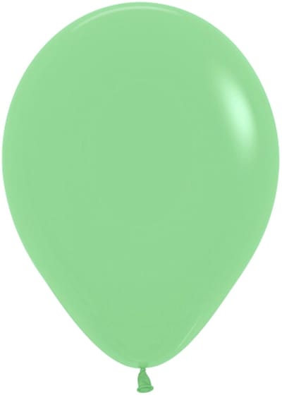 Daily Style – Ballonnen Pastel – Mint Groen – 10 stuks – Feestdecoratie