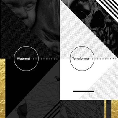 Watered & Terraformer - Split (LP)