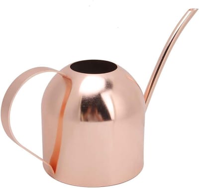 Water Can - Sprinkle Pot - Plant Verzorging - Lange Tuit - 1000ml - Zilverkleurig