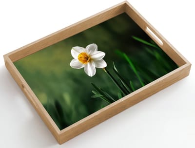 Dienblad hout 50x35 cm - Schootdienblad - Narcis - Bloem - Wit - Grassprieten - Borrelplank rechthoek - Plateau dienbladen