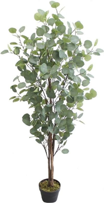 Kunst Eucalyptus Boom - Namaak Kamerplant - 160cm - Kunstplant Groen