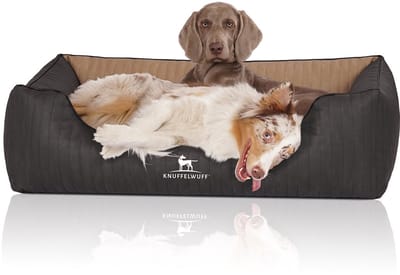 Knuffelwuff orthopedisch hondenbed Outback van laser-gewatteerd kunstleer XL 105 x 75cm zwart/cappucino