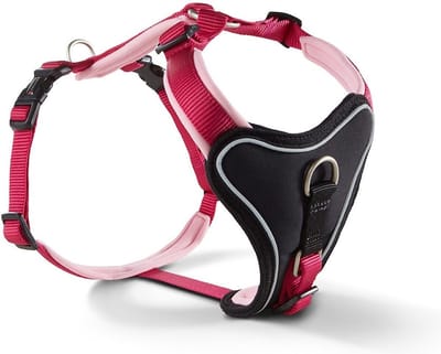 Wolters hondentuig gepolsterd Professional Comfort, maat -1: 27-32cm x 15mm Paars/Roze