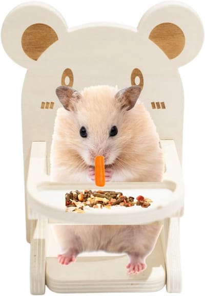 Hamsterstoel - Kleine dierenstoel - Schattige foto's - Handgemaakt hout - 16x12 cm - Houtkleur