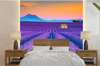 Behang - Fotobehang Lavendel - Paars - Bloemen - Breedte 280 cm x hoogte 280 cm