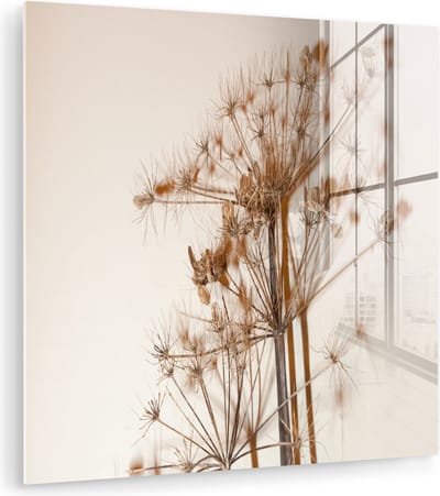 Glasschilderij bloemen - Droogbloemen - Planten - Stilleven - Bruin - Glas decoratie - Glasplaat - Wanddecoratie glas - 90x90 cm - Woonkamer decoratie - Foto op glas - Schilderij glas - Glasschilderijen