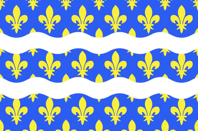 Vlag Seine-et-Marne 100x150cm