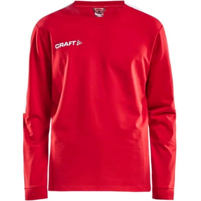 Sweat met rits Craft progress