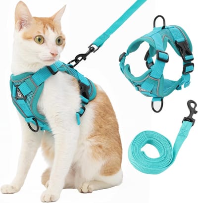 Daity Hondentuigje en riemset - 2 riemgespen - Verstelbaar hondentuigje - Gevoerd vest - Zachte - ontsnappingsbestendige accessoires - Anti-verstikkingsfunctie - Geschikt voor kleine en middelgrote honden - Maat S