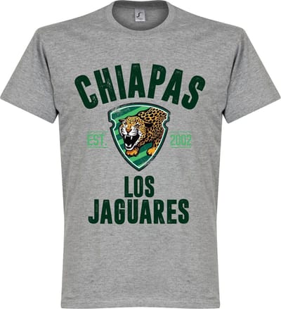Chiapas Estabished T-Shirt - Grijs - L