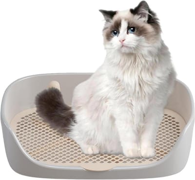 Honden Potty Tray - Plasbak Honden - Zindelijkheidstraining Huisdier - Verhoogde Anti-spat Wand - 48x37x13 cm - Grijs