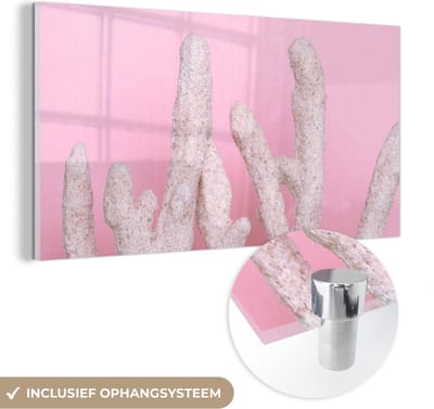 MuchoWow® Glasschilderij 40x20 cm - Schilderij acrylglas - Koraal - Roze - Zomer - Foto op glas - Schilderijen