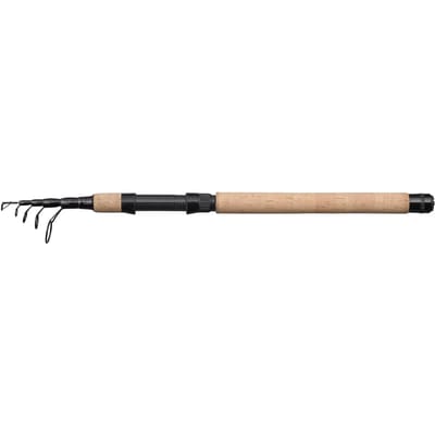 Telescopische spinhengel Berkley Lightning Ht Ii 2-10g