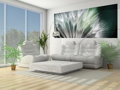 Dandelion Flower Nature Photo Wallcovering