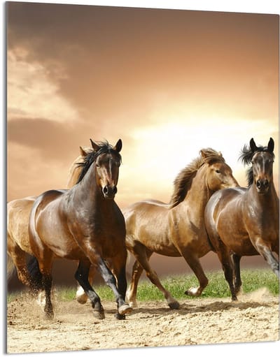 TMK ArtDeko - Snijplank - 40x52cm - Glas - Met Paardenmotief